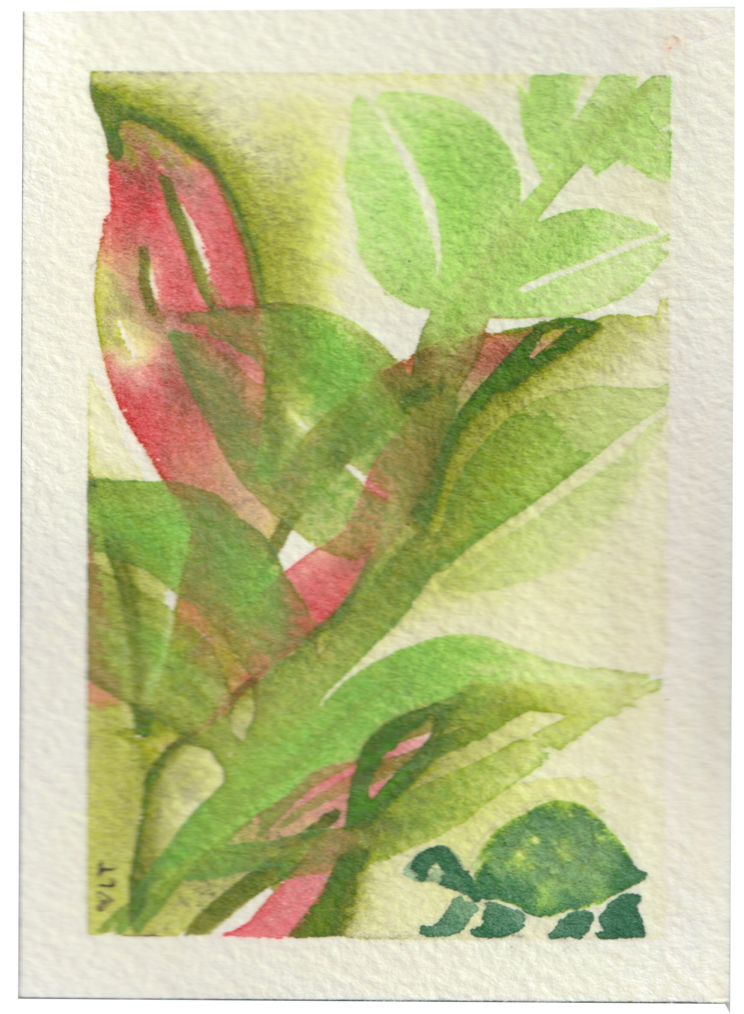 Green Turtle, original watercolor by Lori Tucker