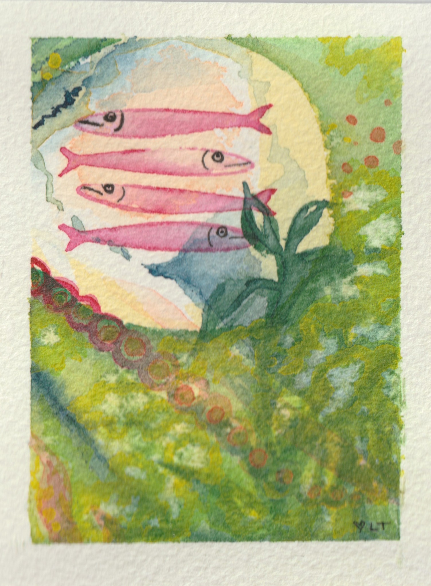 Pink Sardines, original watercolor by Lori Tucker