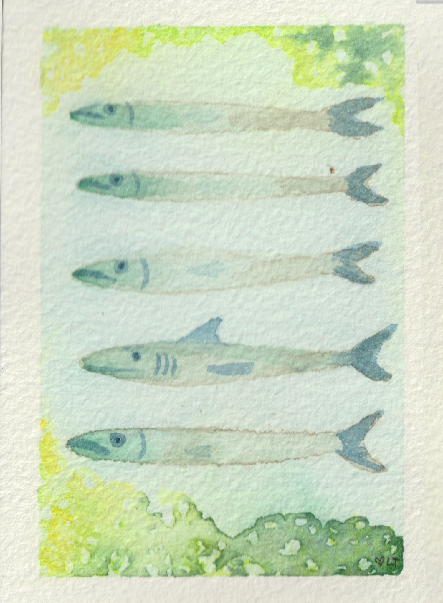 Shark Sardines, original watercolor by Lori Tucker