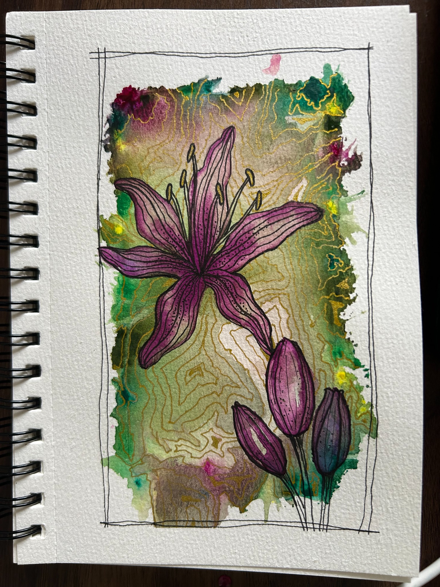 Purple lily watercolor and ink study
