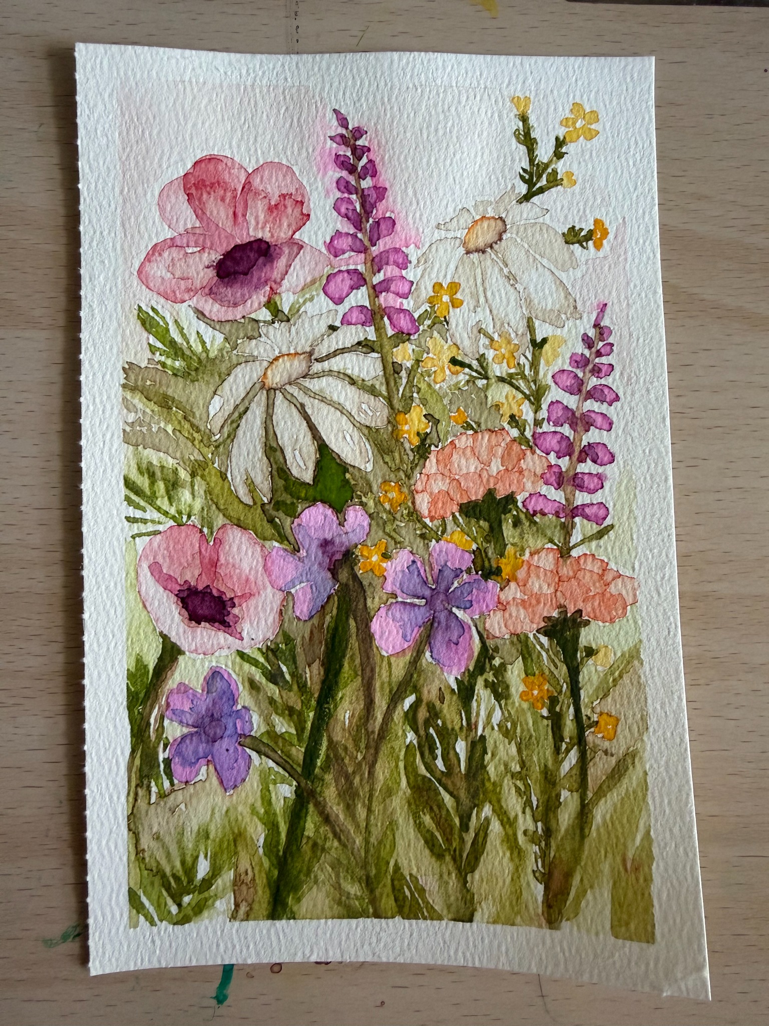 Watercolor wildflower study